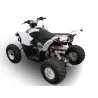 GPR Access Baja 450 2005 2021 ATV.48.DEATV
