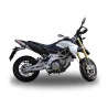 GPR Aprilia Shiver 750 - Gt 2007/16 A.37.DE
