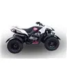 GPR Beeline Bestia 3.3 SM/EN CO.ATV.35.DEATV