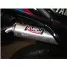 Giannelli Silencers Yamaha TDR 125