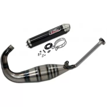 Giannelli Silencers Aprilia RS4 50