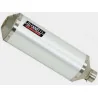 Giannelli Silencers Aprilia SRV 850