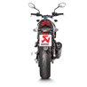 Akrapovic Suzuki SV 650 S-S6SO9-HRC/1