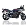 GPR Kawasaki Zrx 1100 1998/01 K.32.IT