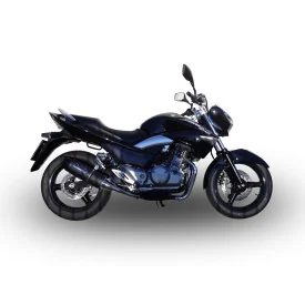 GPR Suzuki Gw 250 F Inazuma2012/17 S.187.FUPO