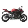 GPR Yamaha Yzf-R 125 i.e. 2017/2018 e4 E4.Y.210.CAT.FNE4