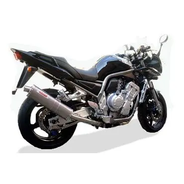 GPR Yamaha Fzs 1000 Fazer 2001/05 Y.36.ALB