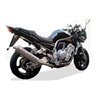 GPR Yamaha Fzs 1000 Fazer 2001/05 Y.36.ALB