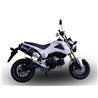 Leovince Triumph Trident 660 LV ONE EVO