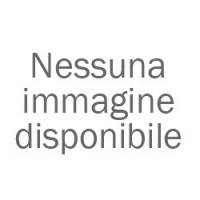 Kawasaki Ninja Abs 300 2012 2016